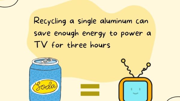 Did you know? Recycling a single aluminum can save enough energy to power a TV for three hours.