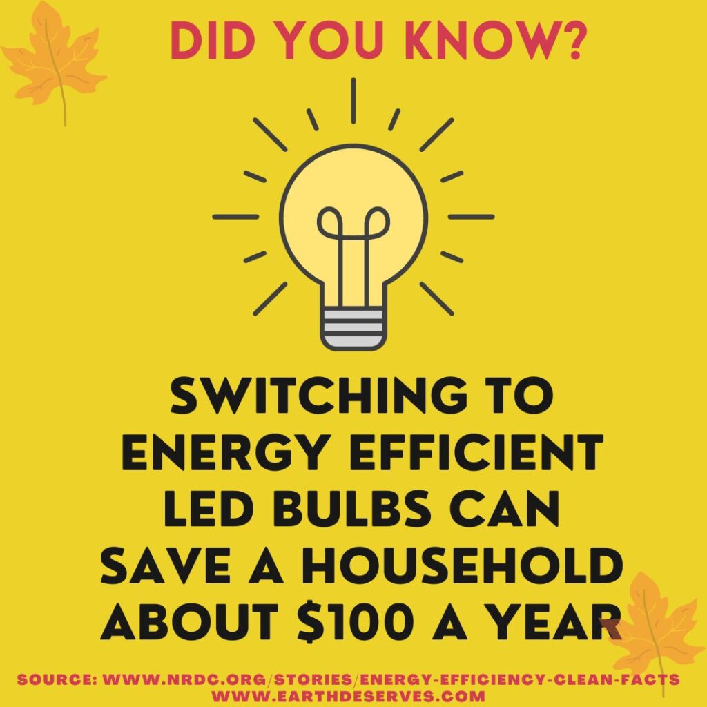 Did you know? Switching to energy efficient LED bulbs can save a household about $100 a year.