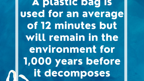 Did you know? A plastic bag is used for an average of 12 minutes but it wil remain in the environment for 1,000 years before it decomposes.