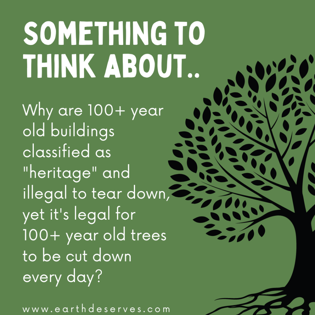 Something to think about.. Why are 100+ year old buildings classified as "heritage" and illegal to tear down, yet it's legal for 100+ year old trees to be cut down everyday? 