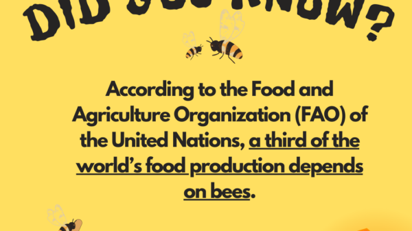 Did you know? According to the Food and Agriculture Organization (FAO) of the United Nations, a third of the world's food production depends on bees.