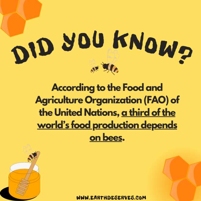 Did you know? According to the Food and Agriculture Organization (FAO) of the United Nations, a third of the world's food production depends on bees.