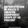 Deforestation in Brazil's Amazon Rainforest drops by 68 percent.