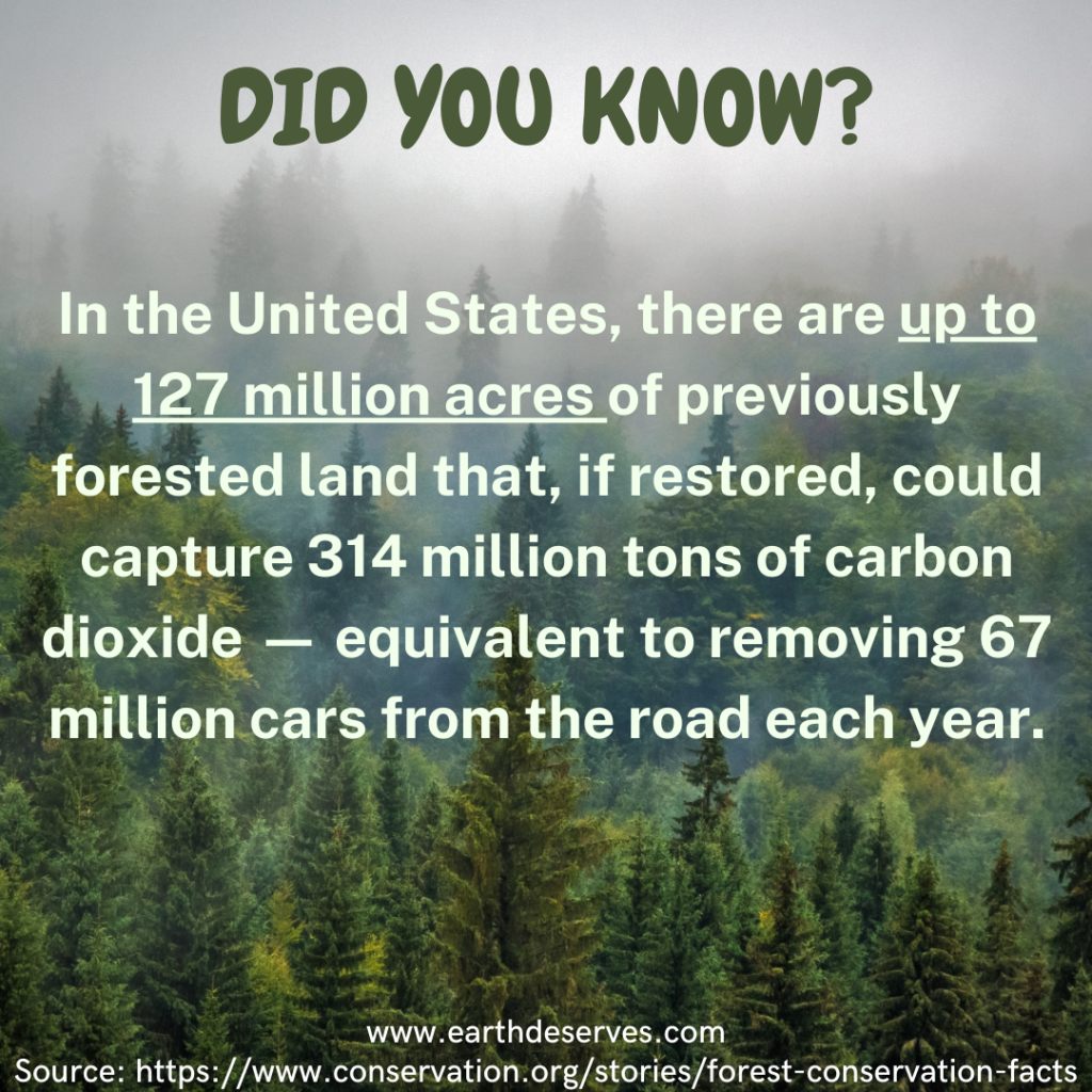 Did you know? In the United States, there are up to 127 million acres of previously forested land that, if restored could capture 314 million tons of carbon dioxide, equivalent to removing 67 million cars from the road each year.