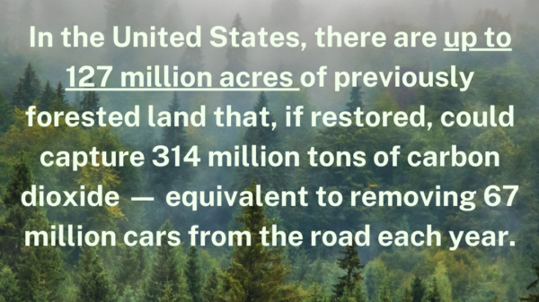 Did you know? In the United States, there are up to 127 million acres of previsouly forested land that, if restored could capture 314 million tons of carbon dioxide, equivalent to removing 67 million cars from the road each year.