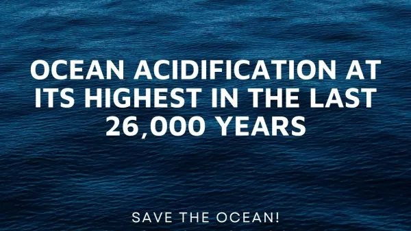 Did you know? Ocean acidification at its highest in the last 26,000 years. Save the ocean, reduce your carbon footprint. Source: IPCC AR46