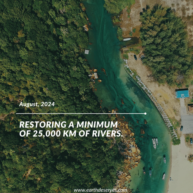 Restoring a minimum of 25,000 KM of rivers